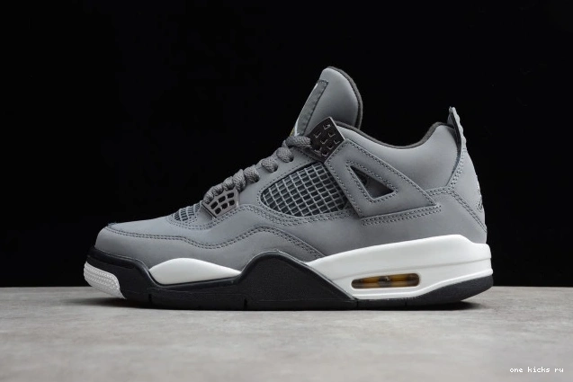 Onekick Air Cool Jordan Grey (2019) 308497-007 4 Retro 0601